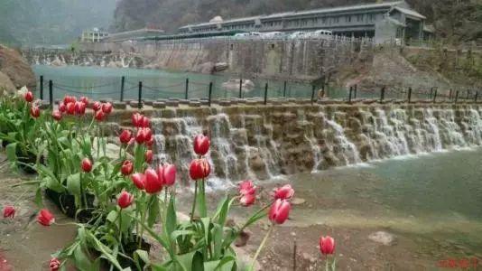 省政协委员赵雪松:加强新技术在政务服务领域的应用